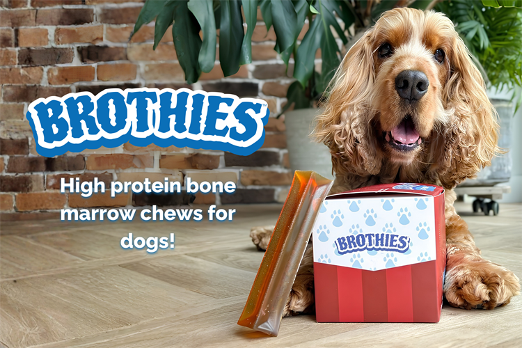 Introducing Brothies